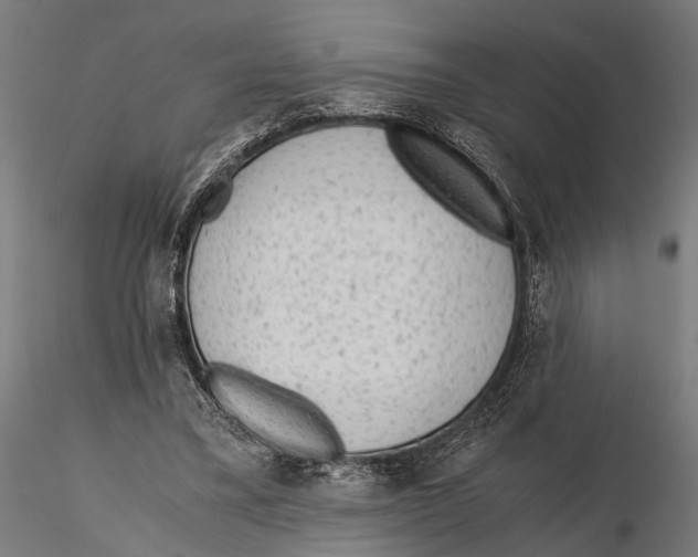 X0000115600395200912081118