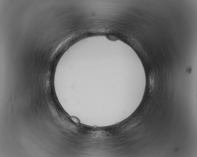 X0000115600396200912081118