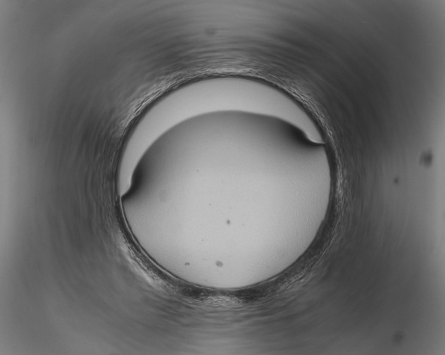 X0000115600397200912081118