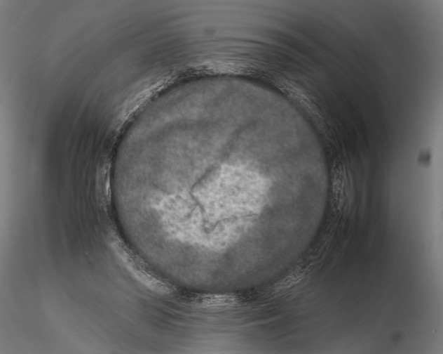 X0000115600398200912081118