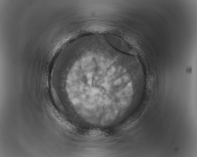 X0000115600399200912081118