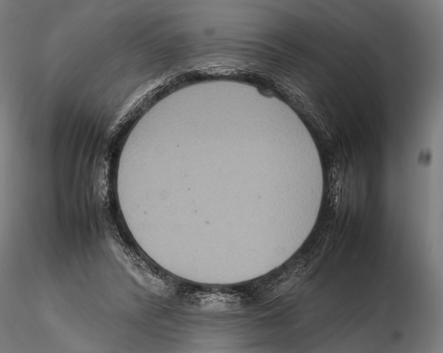 X0000115600400200912081118