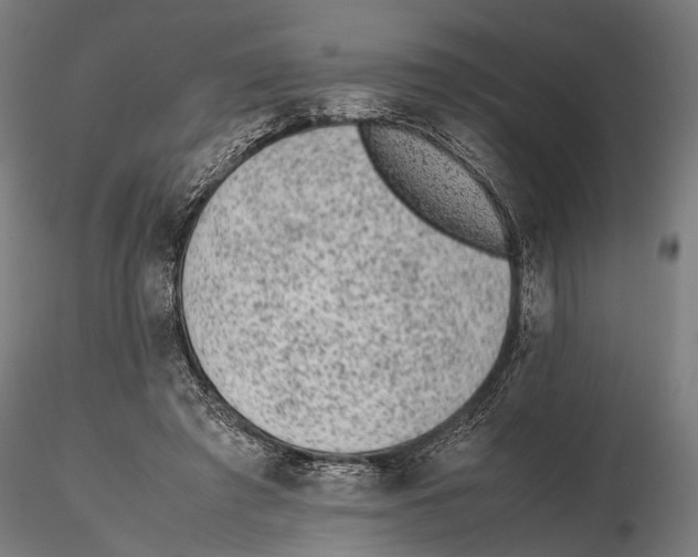 X0000115600401200912081118