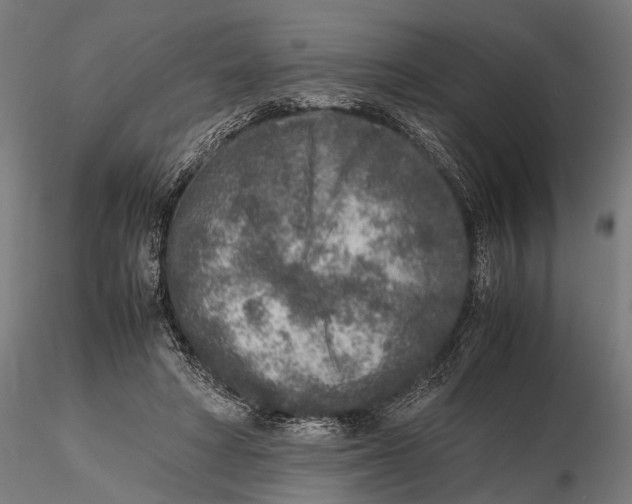 X0000115600402200912081118