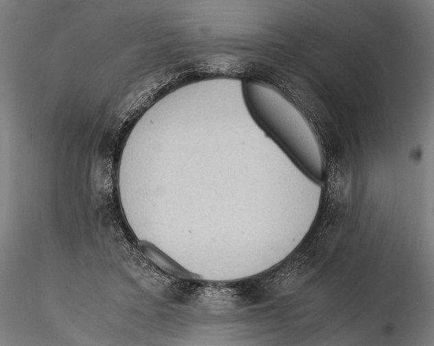 X0000115600403200912081118