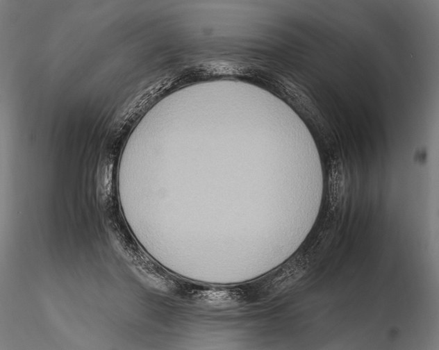 X0000115600406200912081118