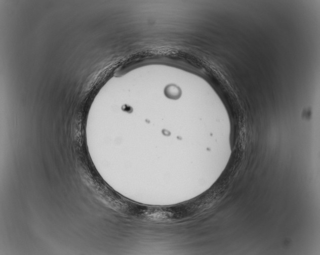 X0000115600407200912081118