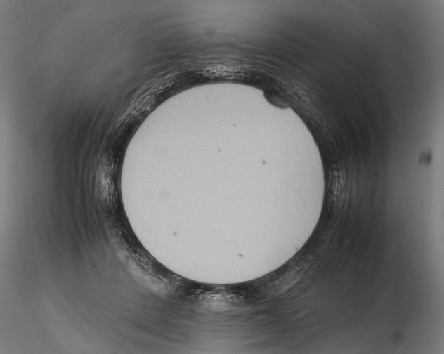 X0000115600408200912081118