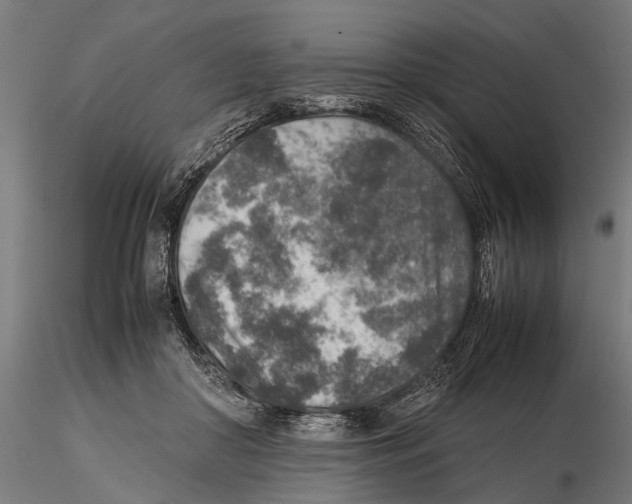 X0000115600410200912081118