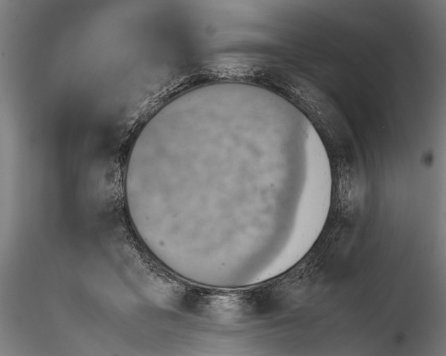 X0000115600411200912081118