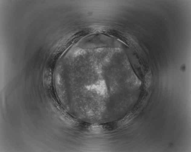 X0000115600413200912081118