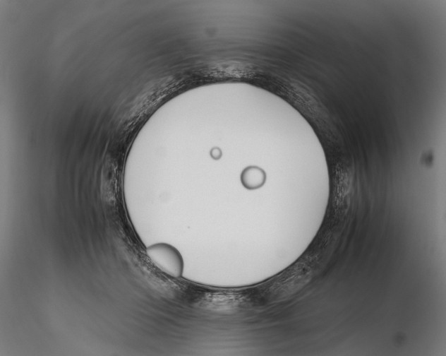 X0000115600414200912081118