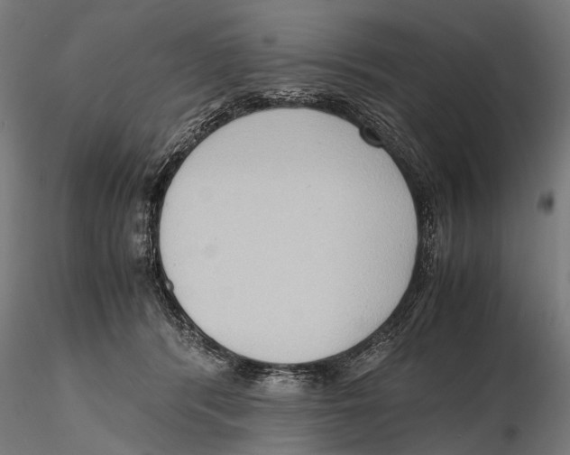 X0000115600416200912081118