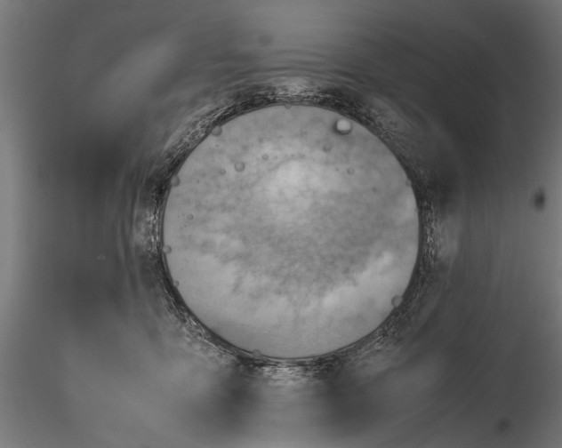 X0000115600419200912081118