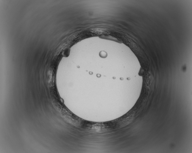 X0000115600420200912081118