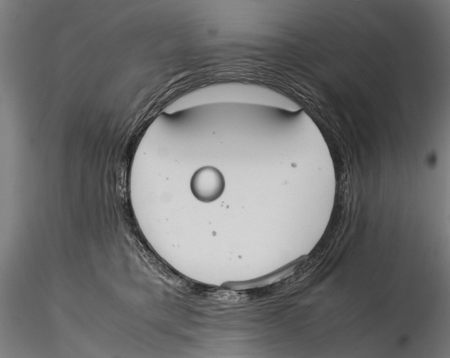 X0000115600421200912081118