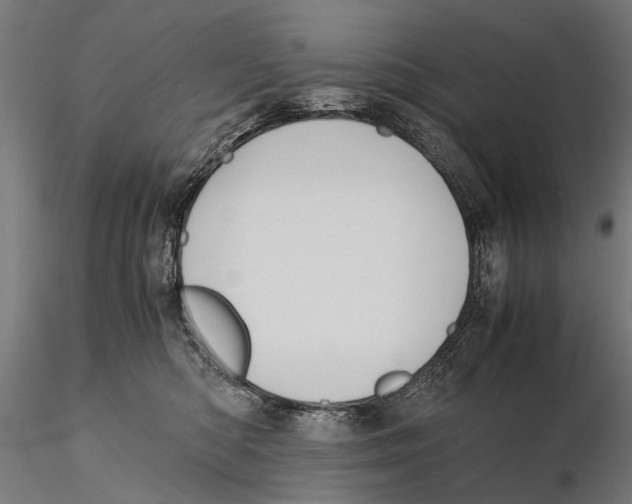 X0000115600422200912081118