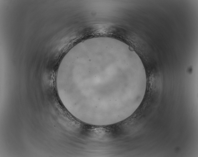 X0000115600423200912081118