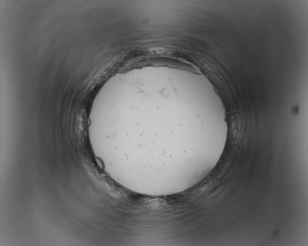 X0000115600424200912081118