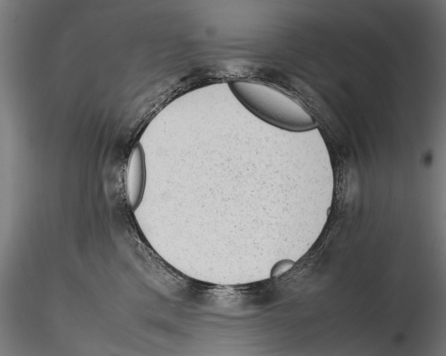 X0000115600425200912081118