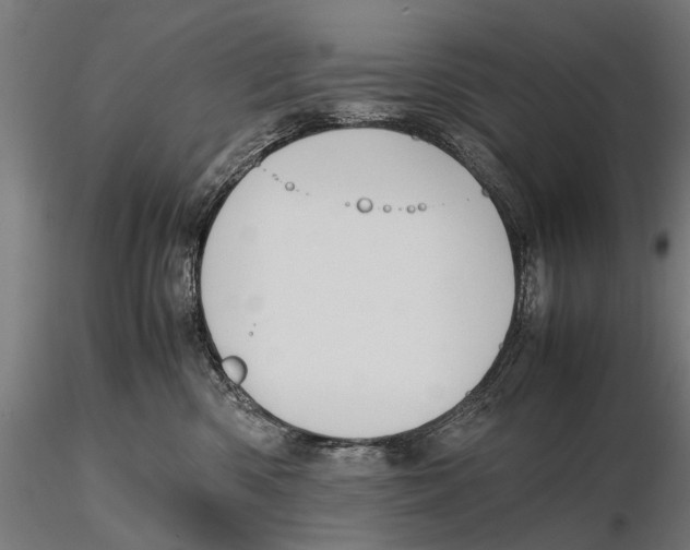 X0000115600426200912081118