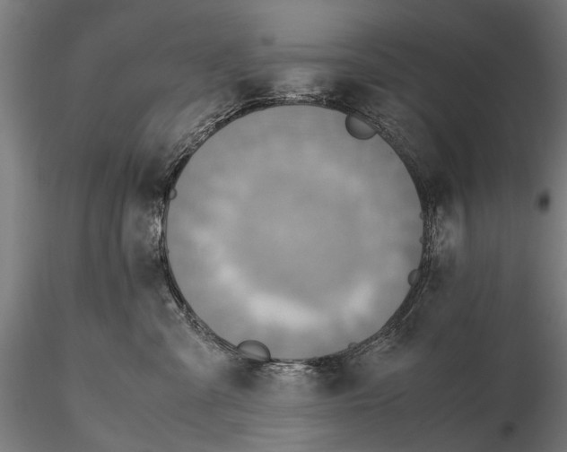 X0000115600427200912081118