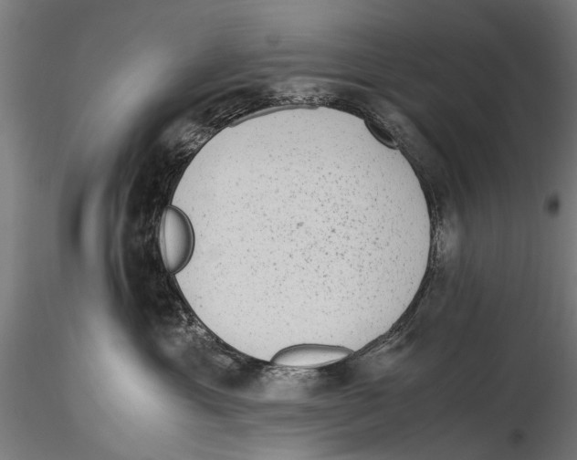 X0000115600429200912081118