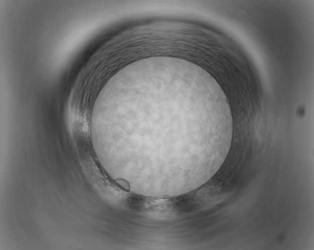 X0000115600431200912081118