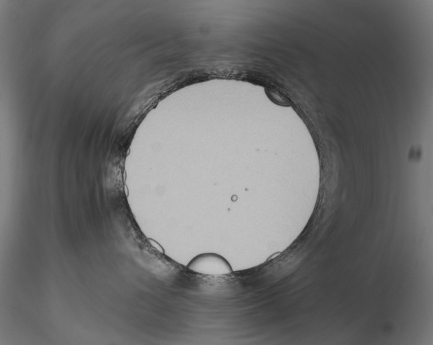 X0000115600432200912081117