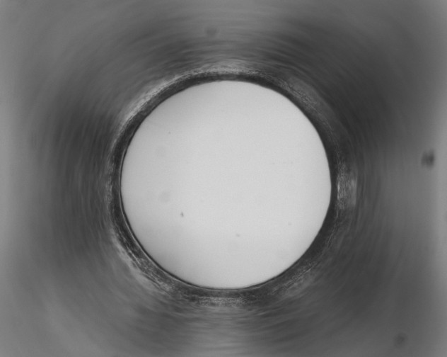 X0000115600436200912081117