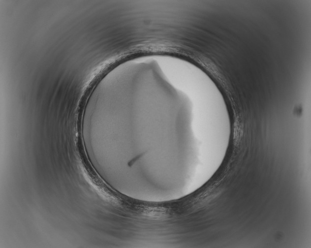 X0000115600438200912081117