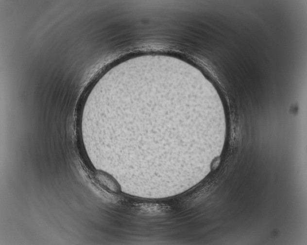 X0000115600439200912081117