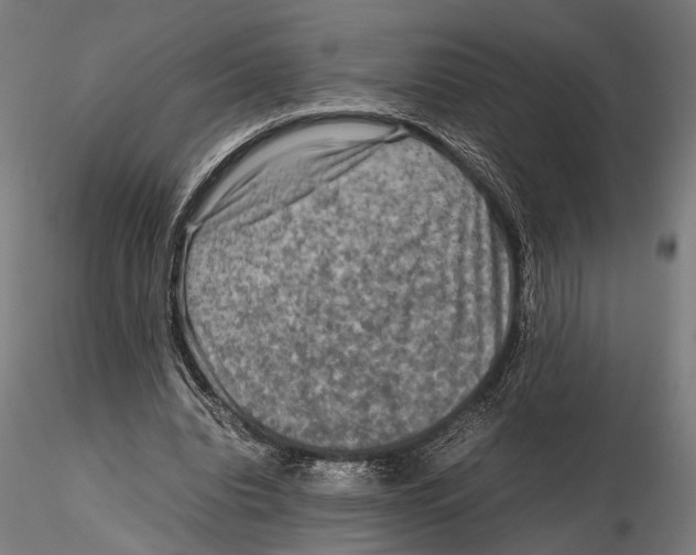 X0000115600440200912081117