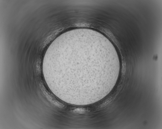 X0000115600441200912081117