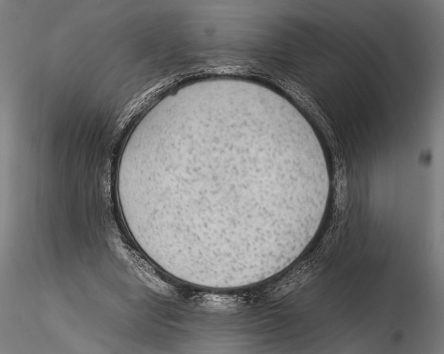 X0000115600442200912081117