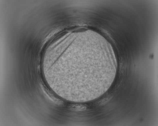 X0000115600443200912081117