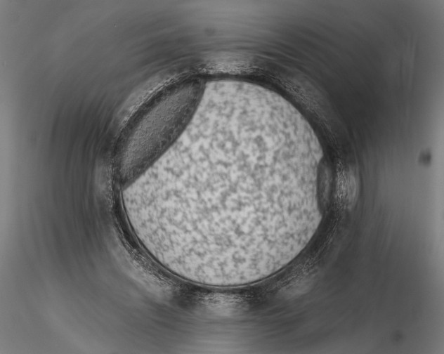 X0000115600444200912081117