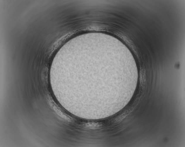 X0000115600445200912081117