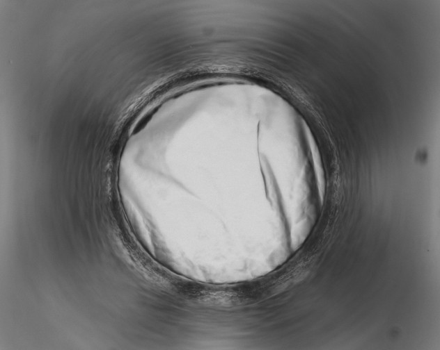 X0000115600446200912081117