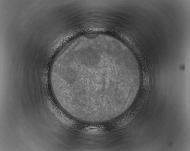 X0000115600447200912081117