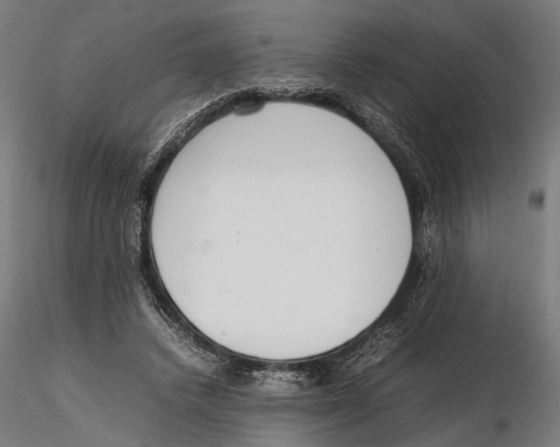 X0000115600448200912081117