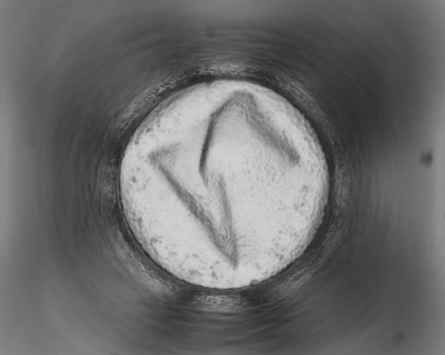 X0000115600449200912081117