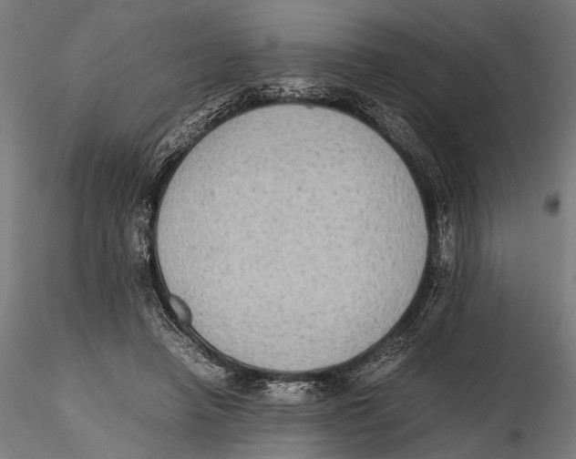 X0000115600450200912081117