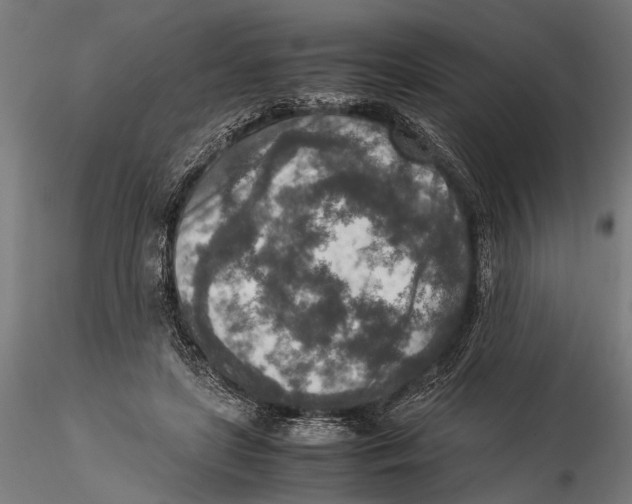 X0000115600451200912081117