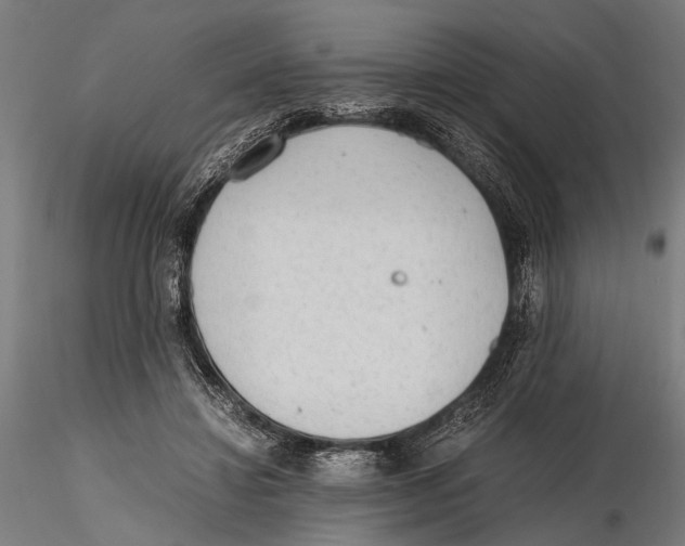 X0000115600452200912081117