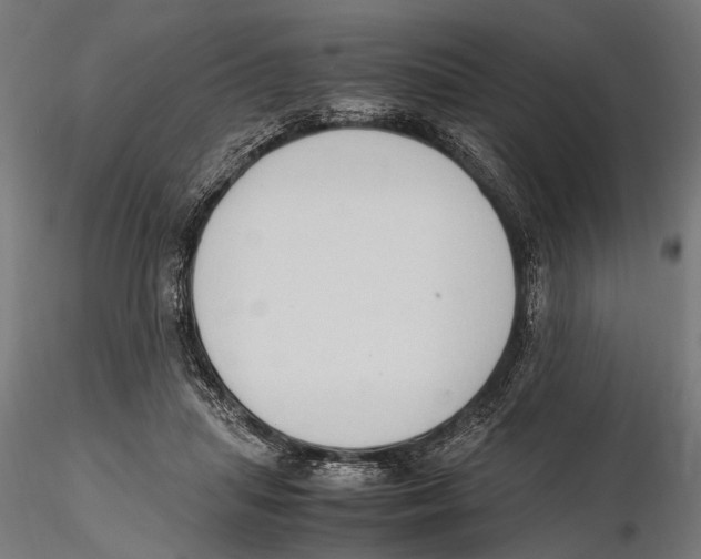 X0000115600455200912081117