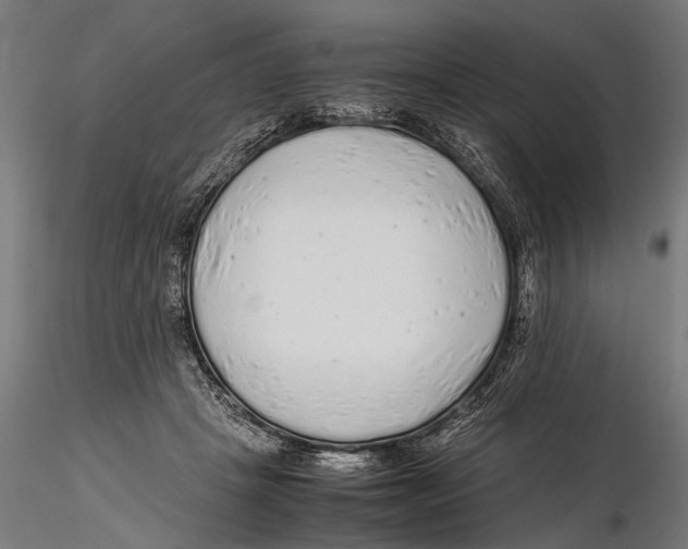 X0000115600457200912081117