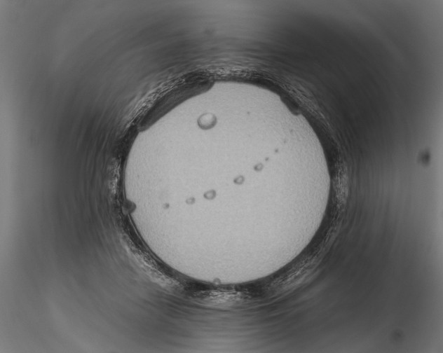 X0000115600458200912081117