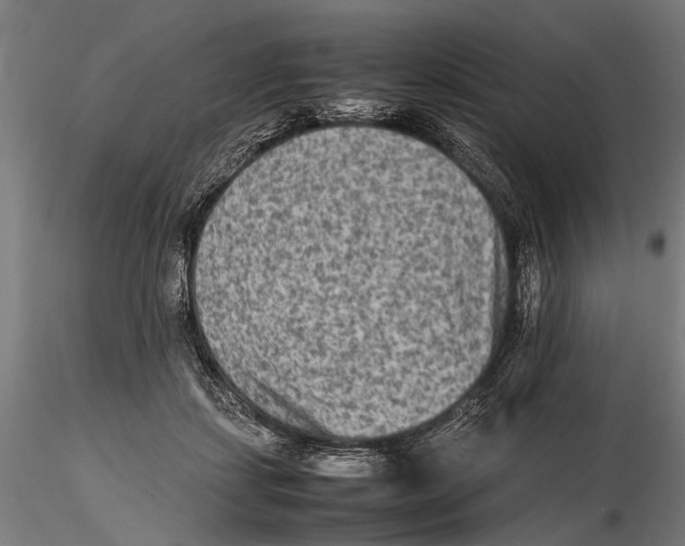 X0000115600459200912081117