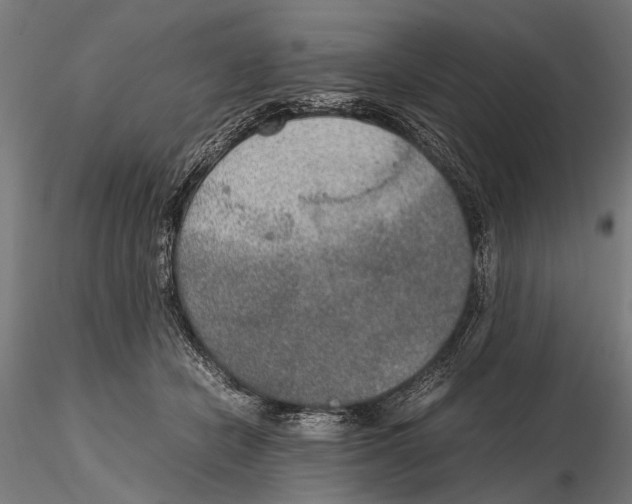 X0000115600462200912081117